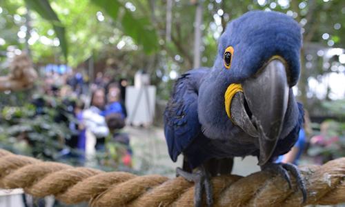 The National Aviary